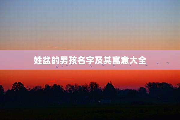 姓盆的男孩名字及其寓意大全