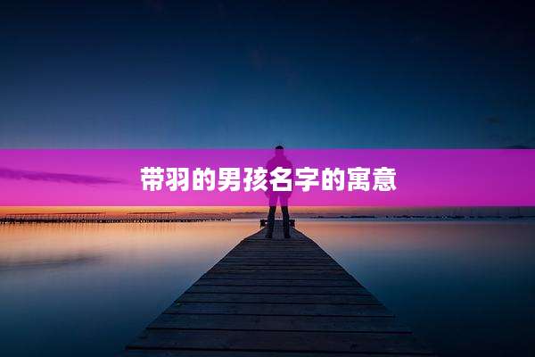 带羽的男孩名字的寓意