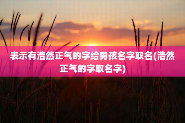 表示有浩然正气的字给男孩名字取名(浩然正气的字取名字)