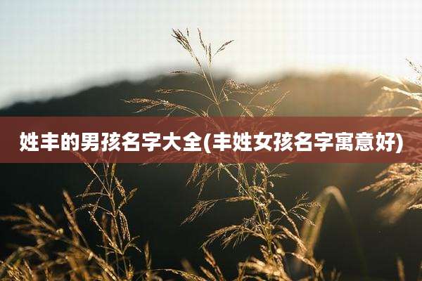 姓丰的男孩名字大全(丰姓女孩名字寓意好)