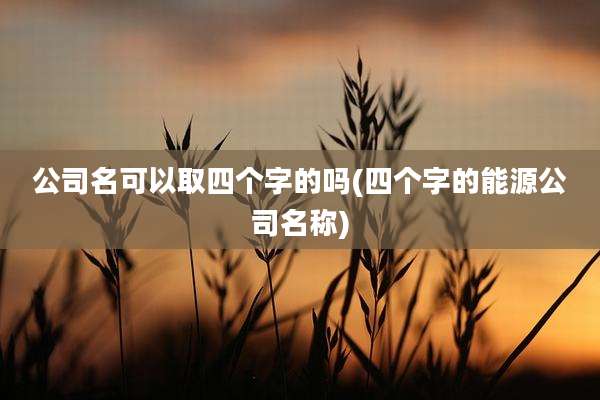 公司名可以取四个字的吗(四个字的能源公司名称)