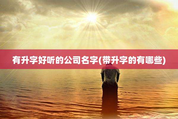 有升字好听的公司名字(带升字的有哪些)