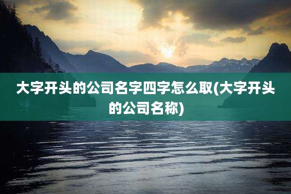 大字开头的公司名字四字怎么取(大字开头的公司名称)