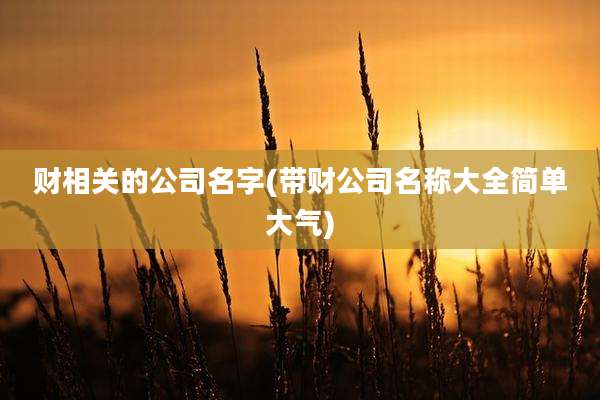 财相关的公司名字(带财公司名称大全简单大气)