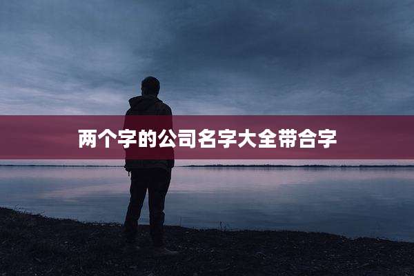 两个字的公司名字大全带合字