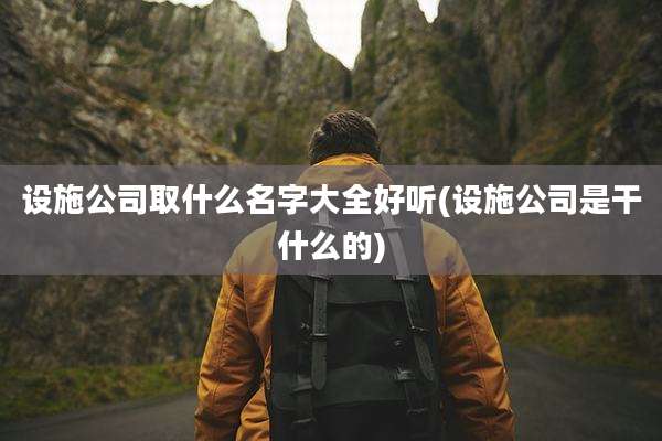 设施公司取什么名字大全好听(设施公司是干什么的)