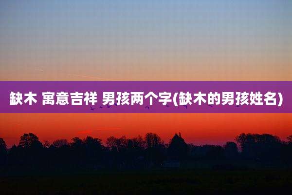 缺木 寓意吉祥 男孩两个字(缺木的男孩姓名)