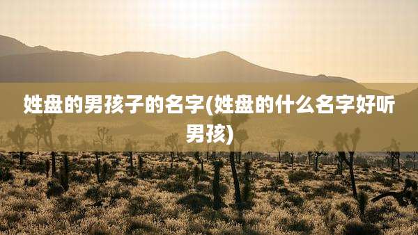 姓盘的男孩子的名字(姓盘的什么名字好听男孩)