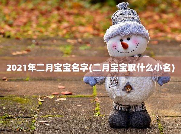 2021年二月宝宝名字(二月宝宝取什么小名)
