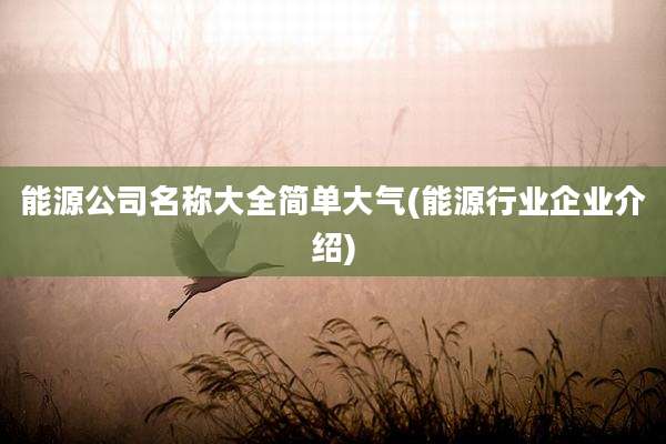 能源公司名称大全简单大气(能源行业企业介绍)
