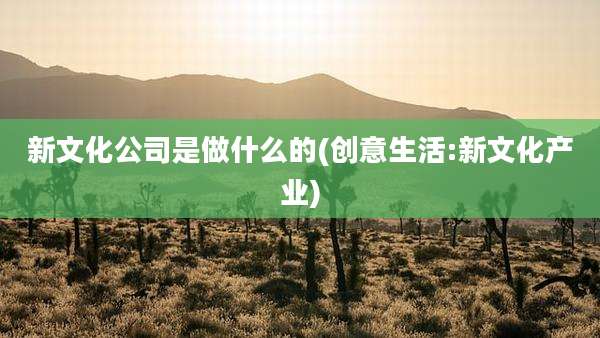 新文化公司是做什么的(创意生活:新文化产业)