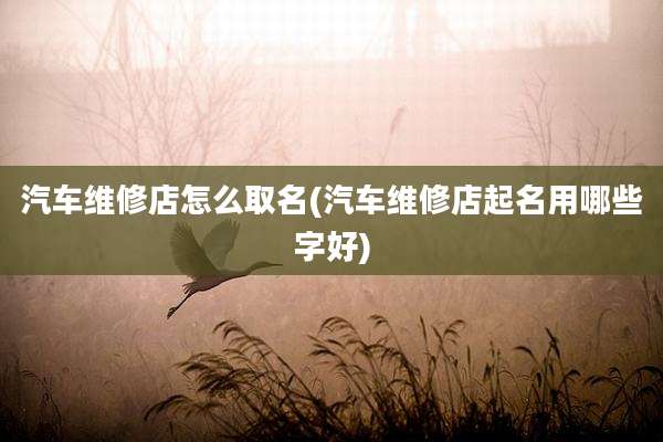 汽车维修店怎么取名(汽车维修店起名用哪些字好)