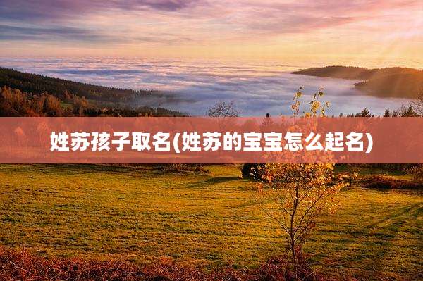 姓苏孩子取名(姓苏的宝宝怎么起名)
