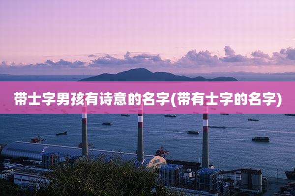 带士字男孩有诗意的名字(带有士字的名字)