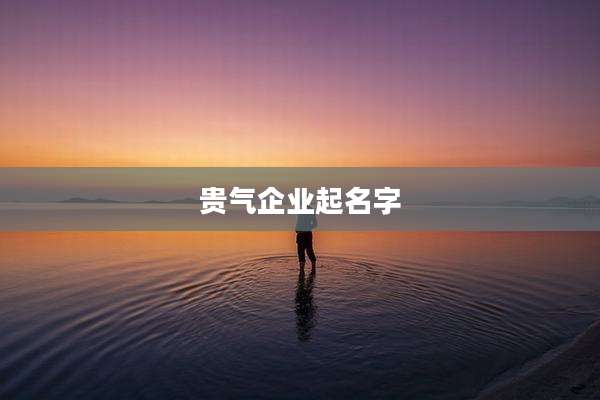 贵气企业起名字