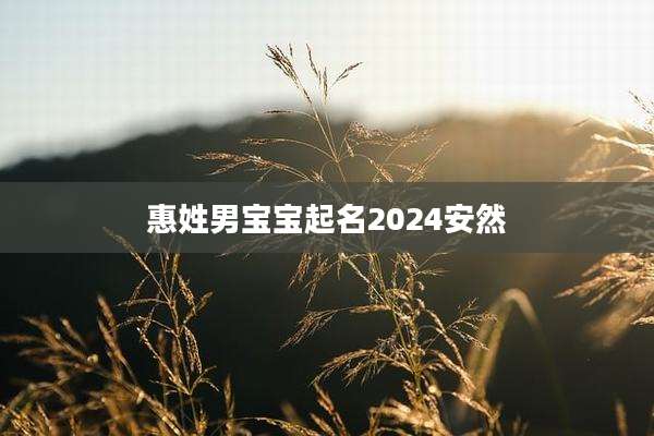 惠姓男宝宝起名2024安然