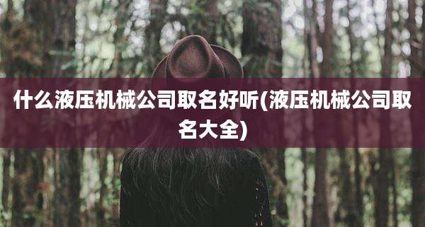 什么液压机械公司取名好听(液压机械公司取名大全)
