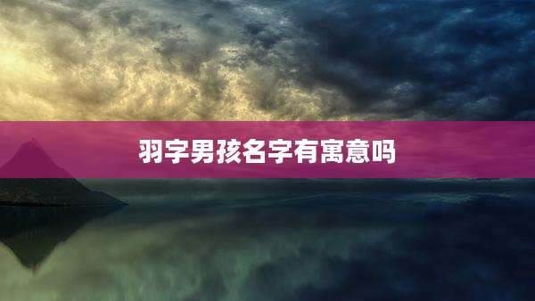 羽字男孩名字有寓意吗