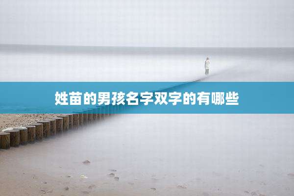 姓苗的男孩名字双字的有哪些
