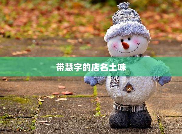 带慧字的店名土味
