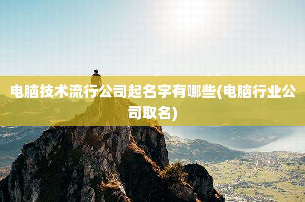 电脑技术流行公司起名字有哪些(电脑行业公司取名)