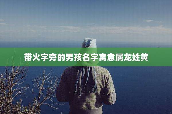带火字旁的男孩名字寓意属龙姓黄