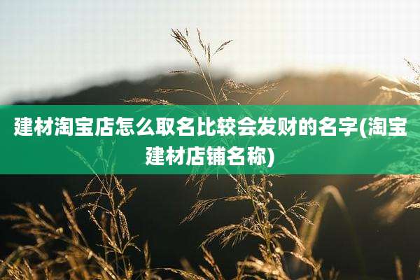 建材淘宝店怎么取名比较会发财的名字(淘宝建材店铺名称)