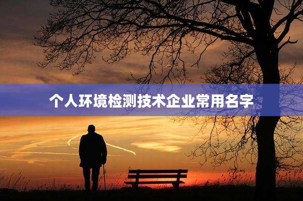 个人环境检测技术企业常用名字