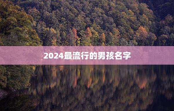 2024最流行的男孩名字