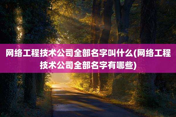 网络工程技术公司全部名字叫什么(网络工程技术公司全部名字有哪些)