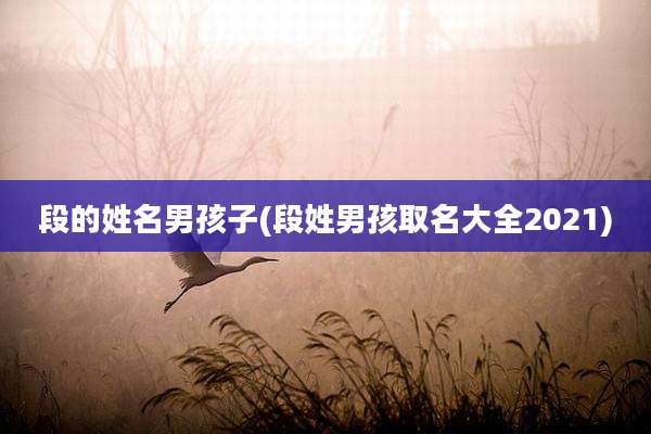 段的姓名男孩子(段姓男孩取名大全2021)