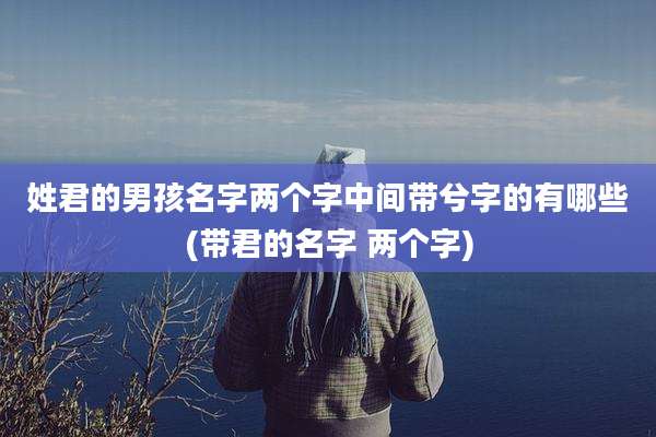 姓君的男孩名字两个字中间带兮字的有哪些(带君的名字 两个字)