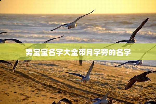 男宝宝名字大全带月字旁的名字