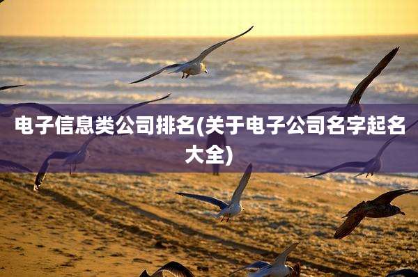 电子信息类公司排名(关于电子公司名字起名大全)