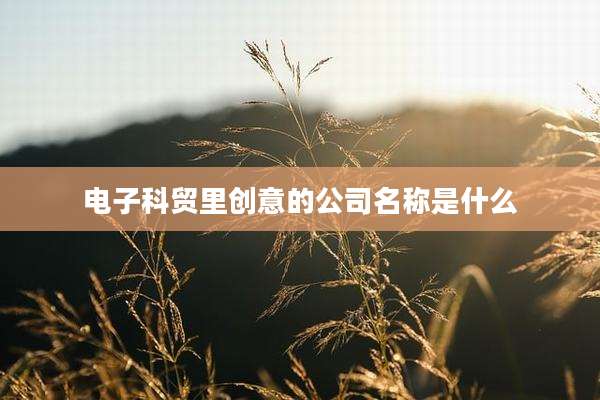 电子科贸里创意的公司名称是什么