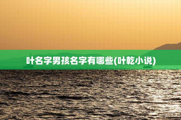 叶名字男孩名字有哪些(叶乾小说)