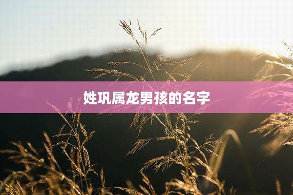 姓巩属龙男孩的名字