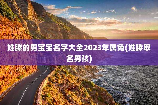 姓滕的男宝宝名字大全2023年属兔(姓滕取名男孩)