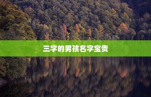 三字的男孩名字宝贵