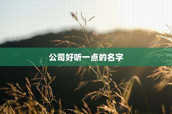 公司好听一点的名字