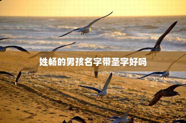 姓畅的男孩名字带圣字好吗