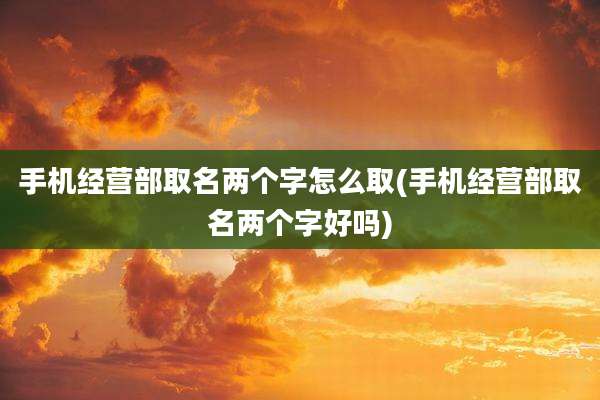 手机经营部取名两个字怎么取(手机经营部取名两个字好吗)