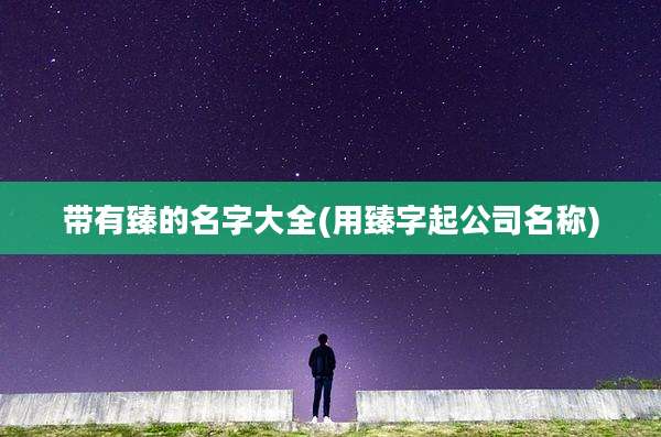 带有臻的名字大全(用臻字起公司名称)