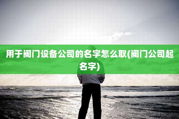 用于阀门设备公司的名字怎么取(阀门公司起名字)
