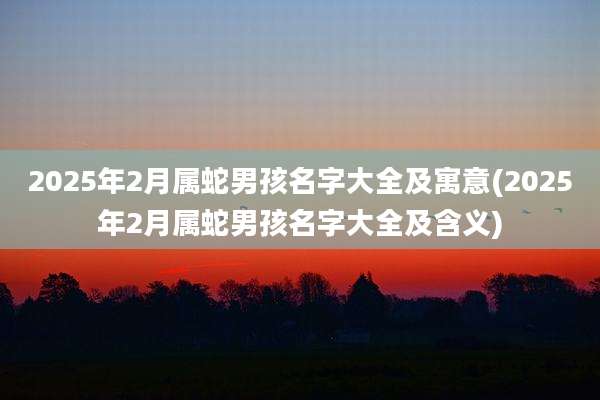 2025年2月属蛇男孩名字大全及寓意(2025年2月属蛇男孩名字大全及含义)