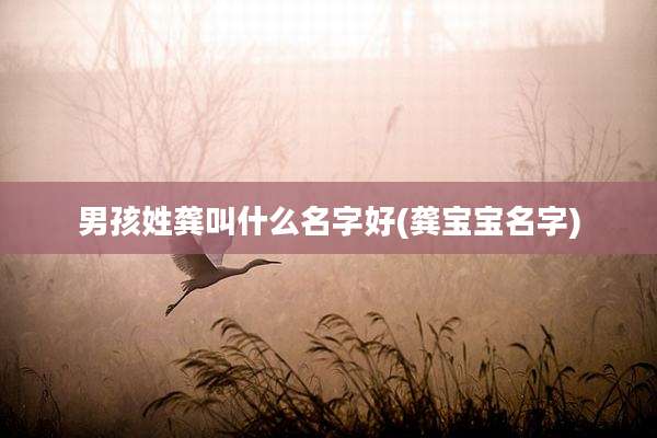 男孩姓龚叫什么名字好(龚宝宝名字)