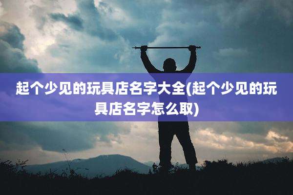 起个少见的玩具店名字大全(起个少见的玩具店名字怎么取)