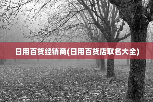 日用百货经销商(日用百货店取名大全)