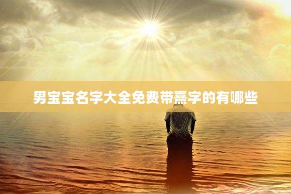 男宝宝名字大全免费带熹字的有哪些