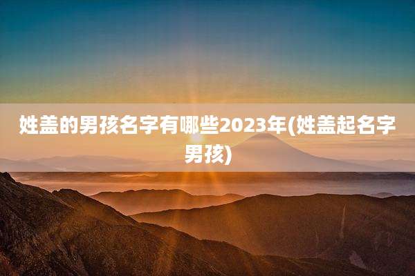 姓盖的男孩名字有哪些2023年(姓盖起名字男孩)